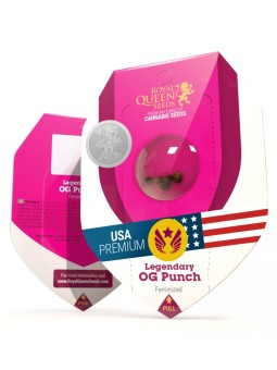 LEGENDARY OG PUNCH USA...