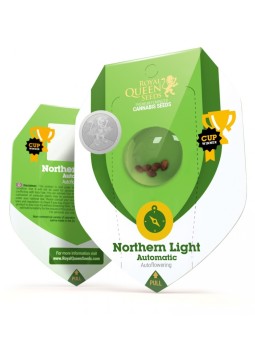 NORTHERN LIGHTS AUTO X3...