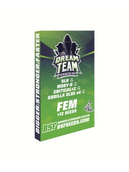 Dream Team Mix Feminizada...