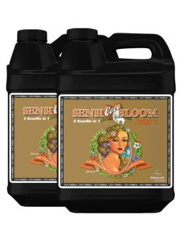 Ph Perfect Sensi Coco Bloom...