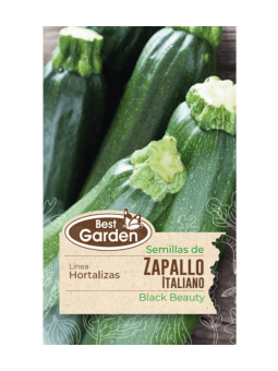 Semillas Zapallo Italiano...