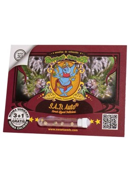 SAD Auto X3+1 Sweet Seeds...