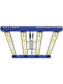 Led Quantum Lite 240w  Delight