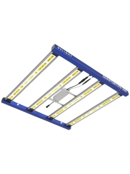 Led Quantum Lite 360w Delight