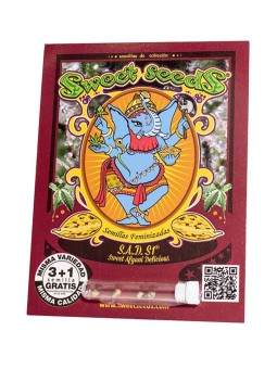 SAD Fem X3+1 Sweet Seeds...