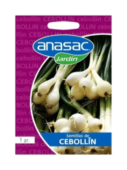 Semilla Cebollin Anasac (1 GR)