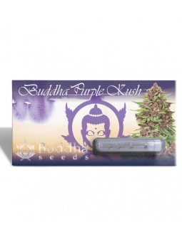 Purple Kush Fem x3 Buddha...