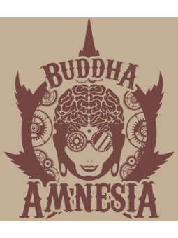 AMNESIA CLASSICS AUTO X3