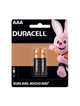 Pilas Duracell AAA 2 un.