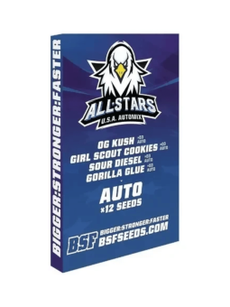 All Stars USA Mix Auto X12 BSF
