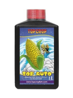 TOP AUTO 1LT TOP CROP