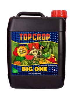 Big One 5lt Top Crop