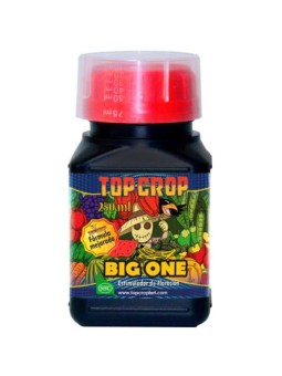 Big One 250ml Top Crop