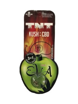 TNT KUSH X3+1Eva Seeds