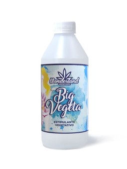 Big Vegeta 1LT Wonderland