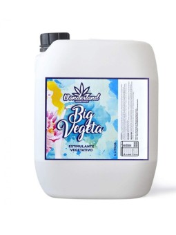 Big Vegeta 5LT Wonderland