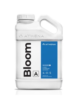 Bloom A+B 3.75LT Athena