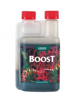 BOOST ACCELERATOR 1LT CANNA