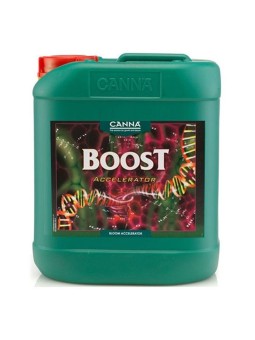 Boost Accelerator 5LT Canna
