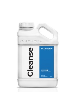 Cleanse 1LT Athena