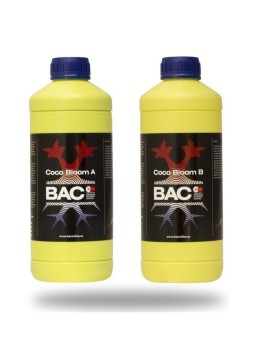 Coco Bloom A&B 1LT Bac