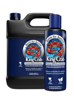 KING CRAB 100ML PLANT SUCCESS