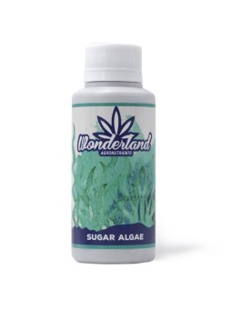 SUGAR ALGAE 120ML WONDERLAND