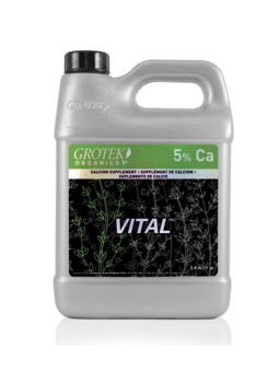VITAL 500ML GROTEK