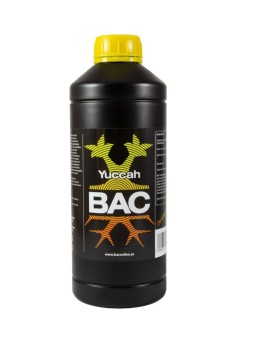 YUCCAH 1LT BAC