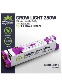 AMPOLLETA HM EXTRA LUMEN...