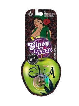 GIPSY HAZE FEM X3+1 Eva Seeds