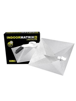 REFLECTOR MATRIX EVOLUTION...